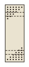 【要送料】 パンチングウォールシステム 壁取付型 PO-301LN 132141 ※法人向け 個人宅配送不可