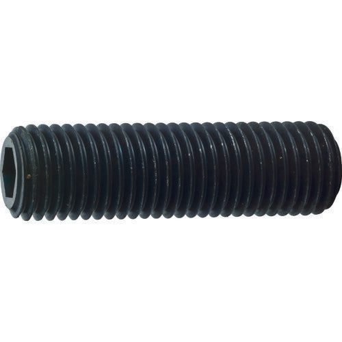 TRUSCO 六角穴付止めねじ 平先 黒染め M16×25 5本入 B63-1625