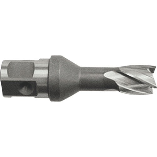 育良 ライトボーラー用替刃(ハイス刃)(51128) HCSQ115L