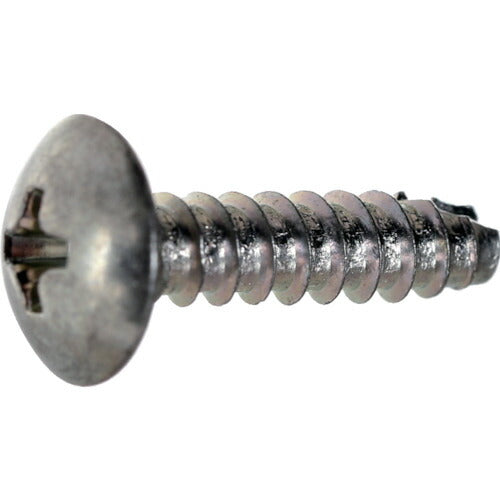 【取寄品】 TRUSCO トラス頭タッピングねじ 2種B1 三価白 M4×6 600本入 ヘキサゴンパック S030-0406 【送料都度見積】