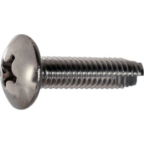 【取寄品】 TRUSCO トラス頭タッピングねじ 3種溝付C1 ステンレス M4×16 310本入 ヘキサゴンパック S047-0416 【送料都度見積】