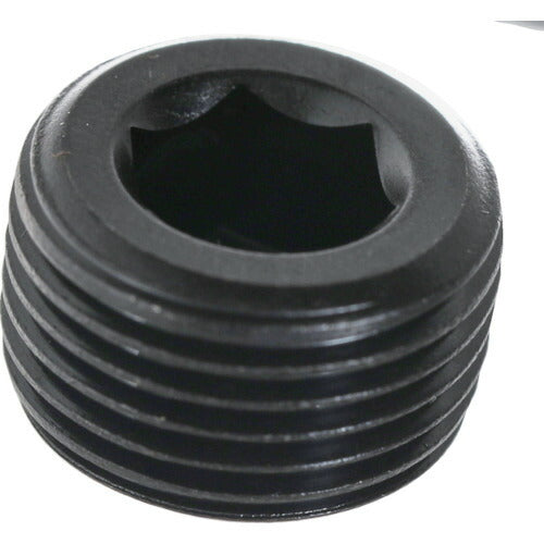 【取寄品】 TRUSCO テーパープラグ 沈み スチール PT3/8 40本入 ヘキサゴンパック S073-0308 【送料都度見積】