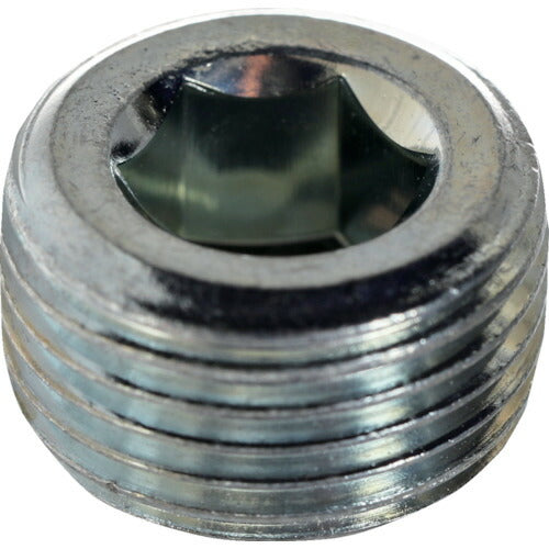 【取寄品】 TRUSCO テーパープラグ 沈み ユニクロ PT1/4 80本入 ヘキサゴンパック S074-0104 【送料都度見積】