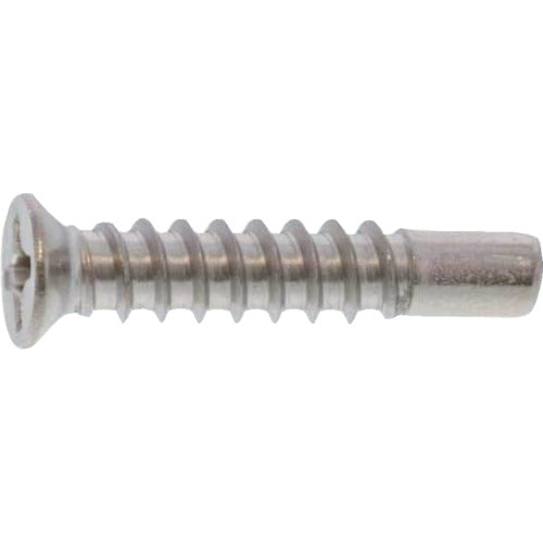 【取寄品】 TRUSCO 皿頭タッピングねじ 2種BRP ステンレス M4×20(G=5) 430個入 ヘキサゴンパック S129-0420 【送料都度見積】