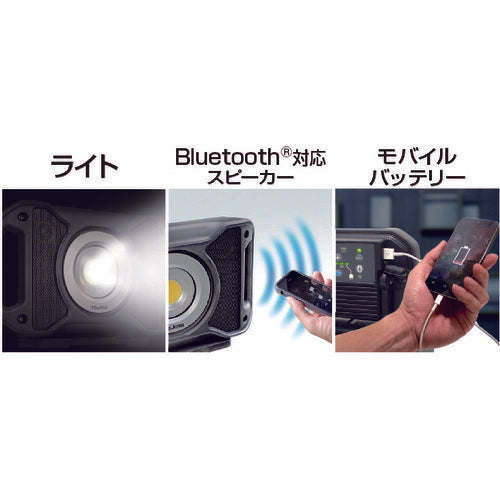 タジマ ＬＥＤワークライトＲ４０１ LE-R401