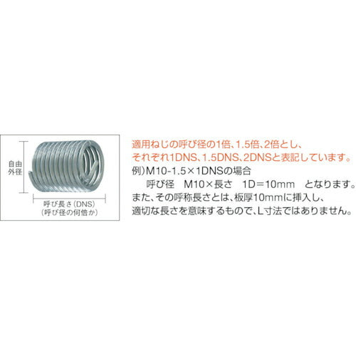 スプリュー Ｍ６Ｘ１．０ｍｍ M6-1.0X1DNS