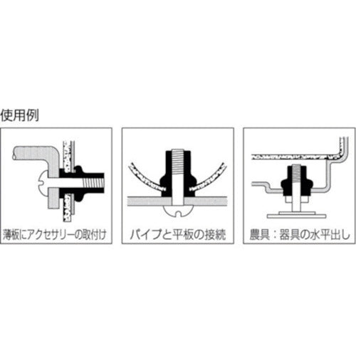 エビ ブラインドナット“エビナット”（薄頭・ステンレス製） 板厚２．０ Ｍ１０×１．５（１００個入） NTK10M