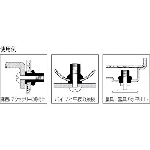 エビ ブラインドナット“エビナット”（薄頭・ステンレス製） 板厚２．０ Ｍ１０×１．５（１００個入） NTK10M