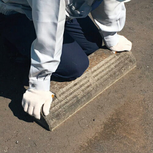 セメダイン ピタブロック（灰色）１ｋｇ（コンクリート・レンガ・車止め補修）ＡＥ－２２８ AE-228