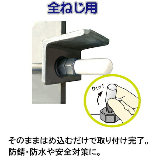 ダイドーハント エンドねじキャップ 全ねじ用 白Ｍ１６ ２個入 10187055