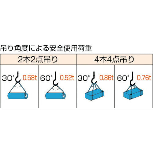 ＴＲＵＳＣＯ Ｗスリング Ａタイプ ６ｍｍＸ１．０ｍ GR-6S1