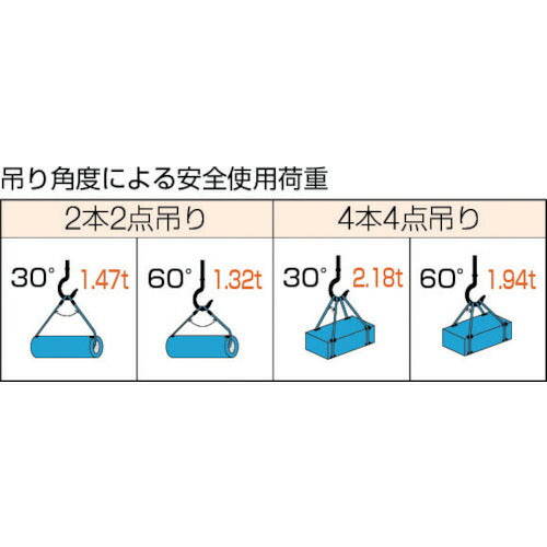 ＴＲＵＳＣＯ Ｗスリング Ａタイプ １０ｍｍＸ１．０ｍ GR-10S1