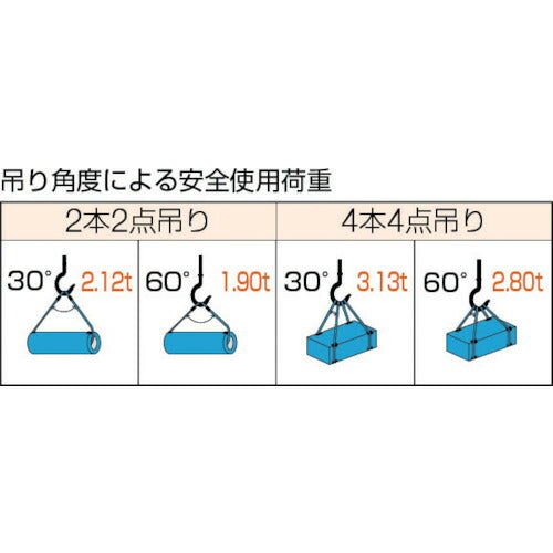 ＴＲＵＳＣＯ Ｗスリング Ａタイプ １２ｍｍＸ１．０ｍ GR-12S1