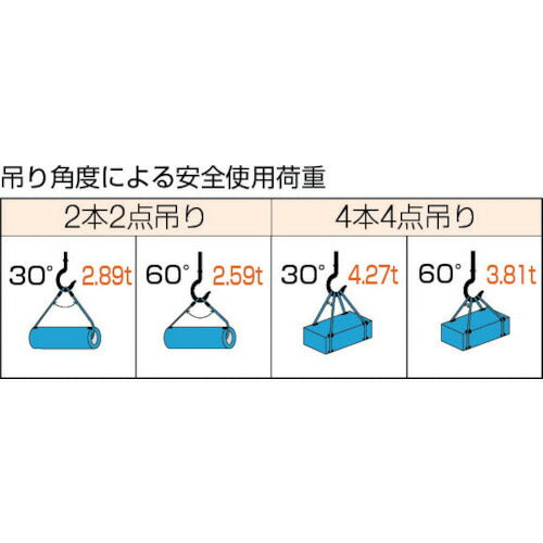 ＴＲＵＳＣＯ Ｗスリング Ａタイプ １４ｍｍＸ１．０ｍ GR-14S1