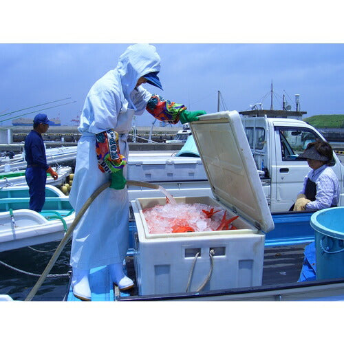 ダイライト　保冷容器　クールボックス　２００Ｌ　ホワイト COOLBOX200