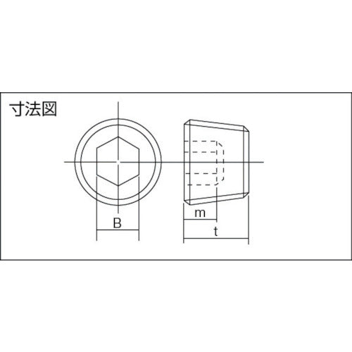 ＴＲＵＳＣＯ テーパー沈みプラグ（ＳＰ４）黒染め ＰＴ１／１６ ８個入 B83-1116