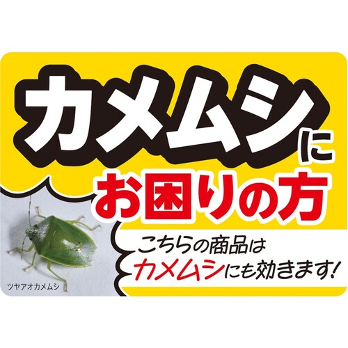 アース　殺虫剤　業務用虫ブロック　クモの巣　窓・ガラス 034915