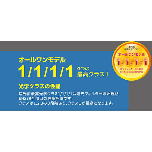 育良 ラピッドグラスゴーグル ハードマスクセット（４０３４５） ISK-RGG6