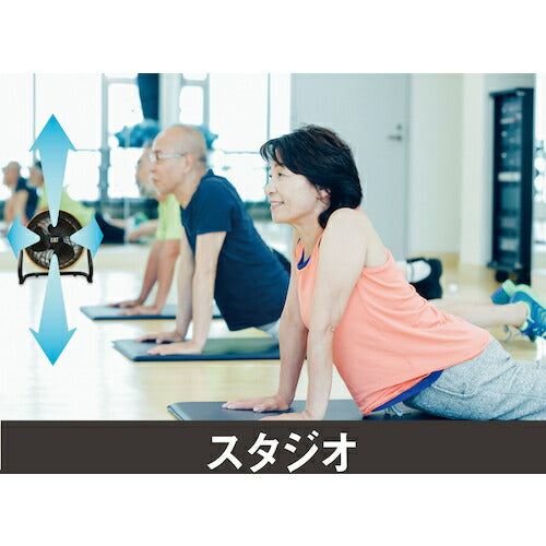 ＣＡＴ　サーキュレーター　４５ｃｍ（壁・床タイプ）　イエロー HVD-18AC