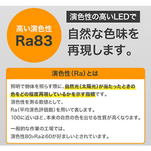 ＩＲＩＳ ５３７４２３ ＰＲＯＬＥＤＳ ＬＥＤ投光器 ５５００ｌｍ LWTL-5500CK