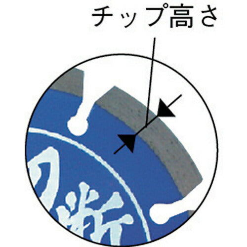 エビ ダイヤモンドカッター 切断王 （乾式） セグメントタイプ １０５ｍｍ SA105