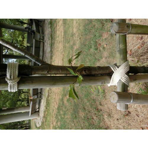 ＴＲＵＳＣＯ 綿ロープ ３つ打 線径６ｍｍＸ長さ２００ｍ R-6200M