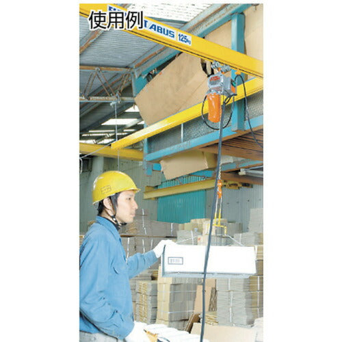 象印 ベータ型小型電気チェンブロック 定格荷重１２５ＫＧ 揚程３Ｍ （ＢＳ－Ｋ１２３０） BS-K1230