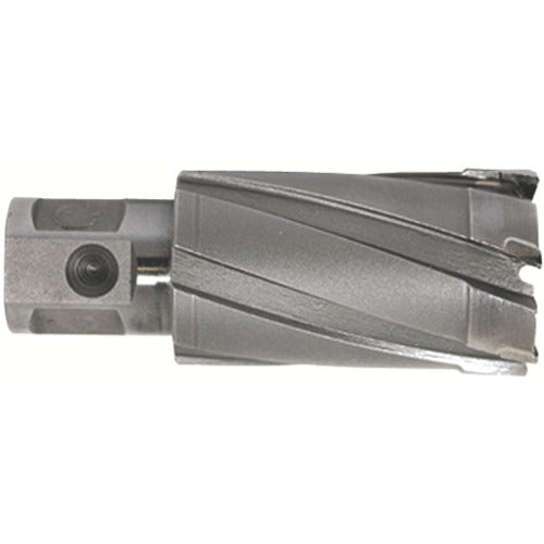 育良 ライトボーラー用替刃（超硬刃）（５１０１３） CCSQ210