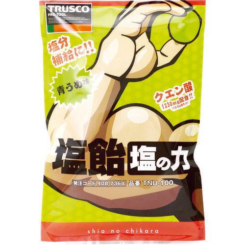ＴＲＵＳＣＯ　【※軽税】　塩飴　塩の力　１００ｇ袋入　青梅味　（１袋入） TNU-100