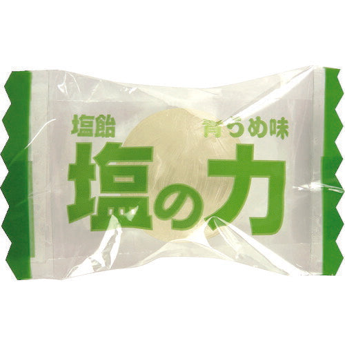 ＴＲＵＳＣＯ 【※軽税】塩飴 塩の力 １００ｇ袋入 青梅味 （１袋入） TNU-100
