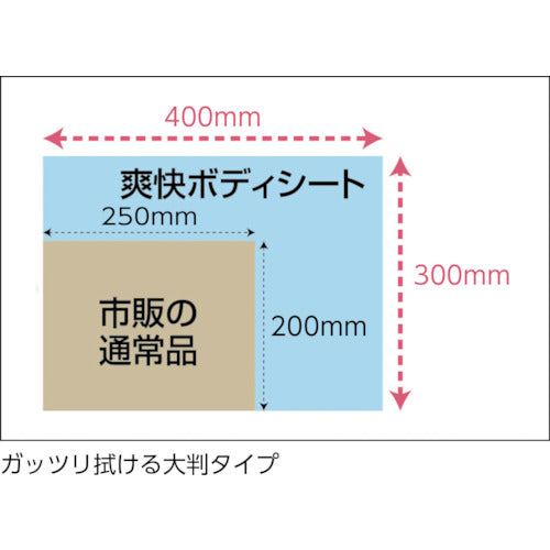 ＴＲＵＳＣＯ　爽快ボディシート　厚手タイプ　３０枚入り TBS-30