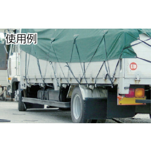 ＴＲＵＳＣＯ ゴムロープフリータイプ幅３０ｍｍ×１０ｍ GR-3010F