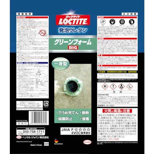 ＬＯＣＴＩＴＥ　グリーンフォーム　ビッグ DGB-570