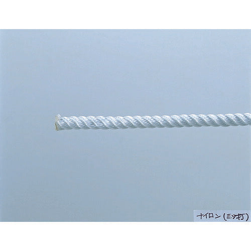 ＴＲＵＳＣＯ ナイロンロープ 金剛打 線径３ｍｍＸ長さ１０ｍ R-310NK