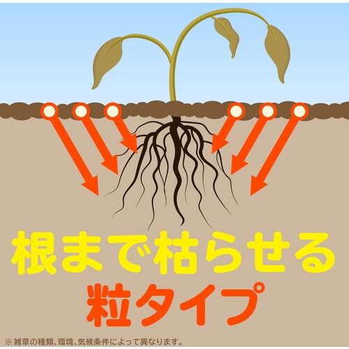 アース　除草剤　おうちの草コロリ　粒タイプ　３ｋｇ 063212
