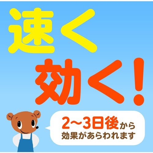 アース　除草剤　おうちの草コロリ　粒タイプ　３ｋｇ 063212