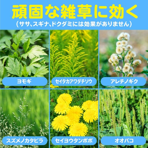アース　除草剤　おうちの草コロリ　粒タイプ　３ｋｇ 063212