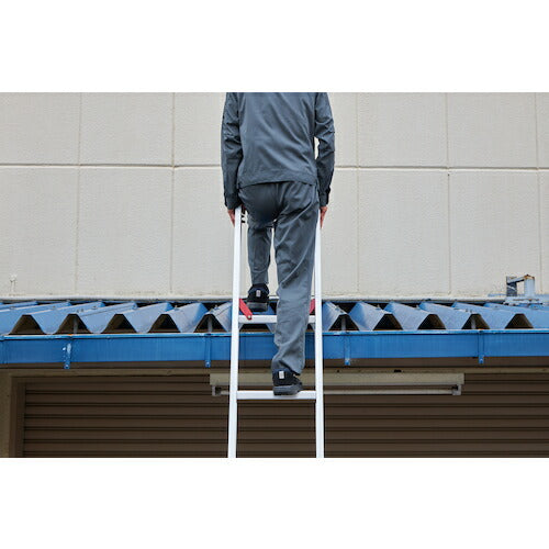 ハセガワ ハセガワ ラクノリ３連はしご６．８６Ｍ LT3-69A