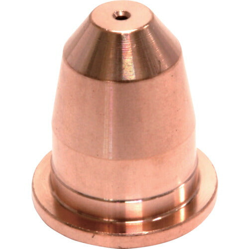 育良 ＩＡＰ１２４Ｅ用チップ （４２２１２） AP-EN4