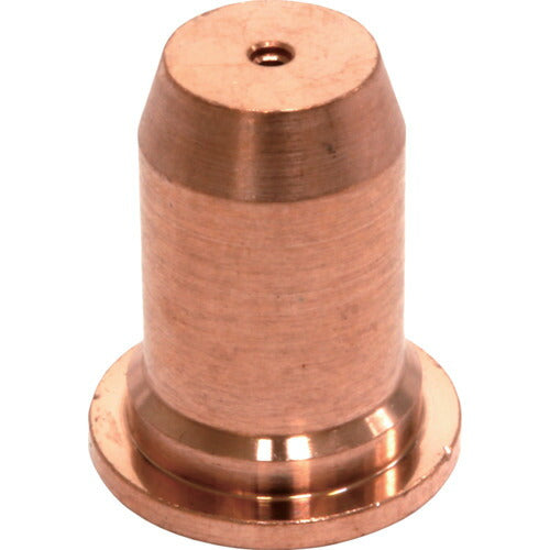 育良 ＩＡＰ２６０Ｅ用チップ （１０個入り）（４２２１８） AP-EN5