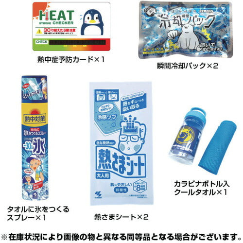 ブレイン　熱中対策キット BR-810