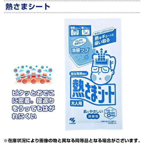 ブレイン　熱中対策キット BR-810