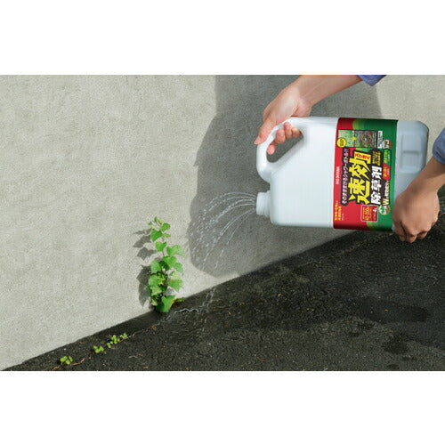 ＩＲＩＳ　１１０８８４　速効除草剤　４Ｌ WSJ-4L