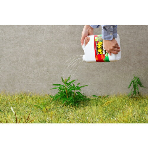 ＩＲＩＳ　１１０８８３　速効除草剤　２Ｌ WSJ-2L