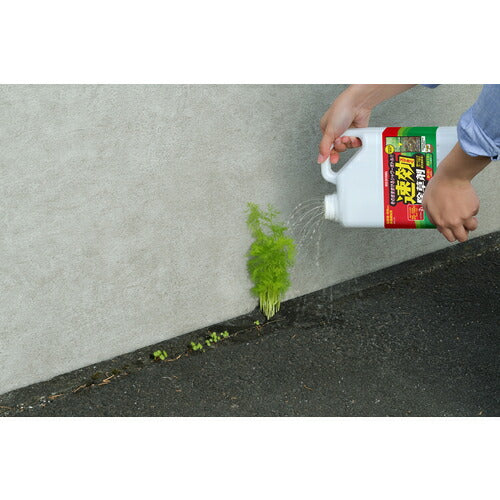 ＩＲＩＳ　１１０８８３　速効除草剤　２Ｌ WSJ-2L