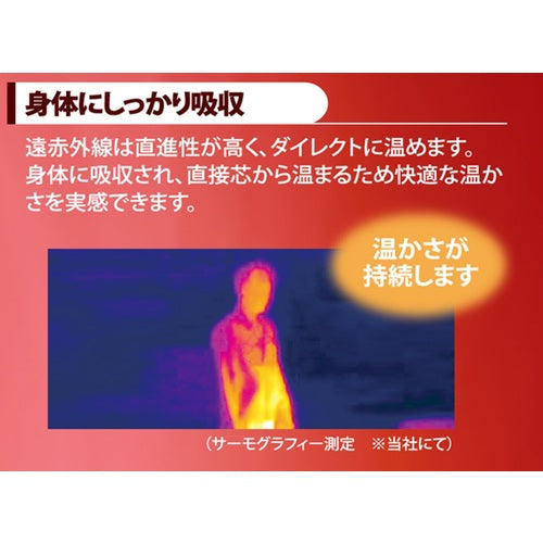 ＮＡＫＡＴＯＭＩ　遠赤外線電気ヒーター　単相１００Ｖ　ＦＩＨー１０ＲＳ FIH-10RS