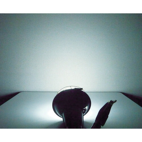 ＴＲＵＳＣＯ　ＬＥＤ投光器　２０Ｗ　５ｍ RTL-205A