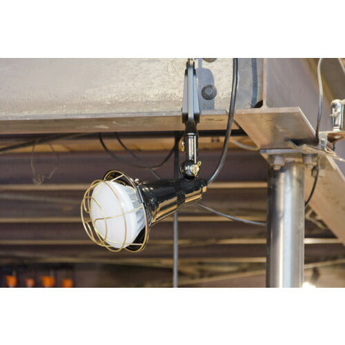 ＴＲＵＳＣＯ　ＬＥＤ投光器　２０Ｗ　５ｍ RTL-205A