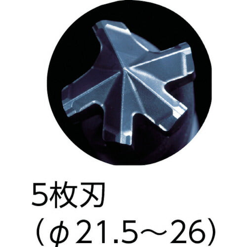 ミヤナガ デルタゴンビットＳＤＳプラス ネジタイプ Φ５．２×１６６ｍｍ DLSDS052