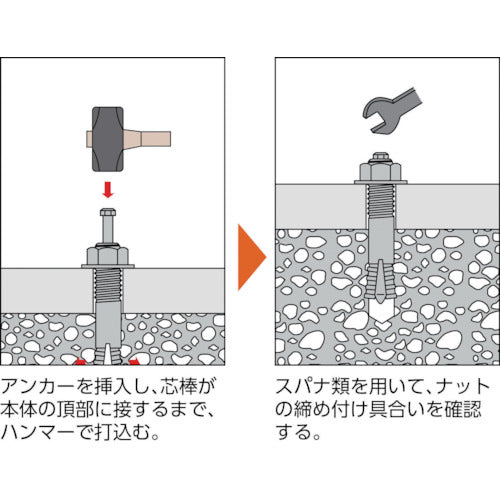 ＴＲＵＳＣＯ オールアンカーＣタイプ スチール Ｍ２０Ｘ１３０ ２本入 （コンクリート用アンカー／芯棒打込み式 ） C-2013BT